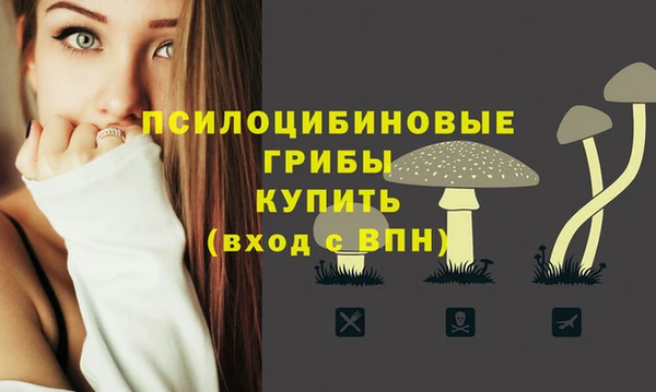 не бодяженный Красноперекопск