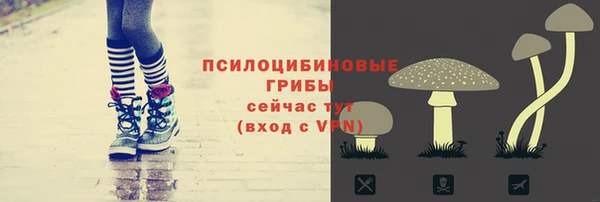 не бодяженный Красноперекопск