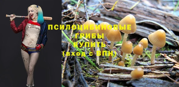 дурь Краснослободск