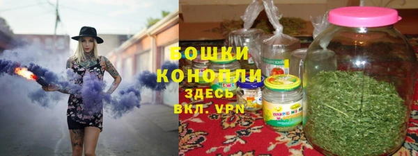 дурь Краснослободск
