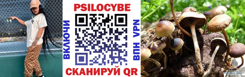 Купить где  Суджа  Псилоцибиновые грибы мицелий 