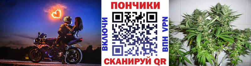 Купить закладки  Суджа  Бошки марихуана MAZAR 